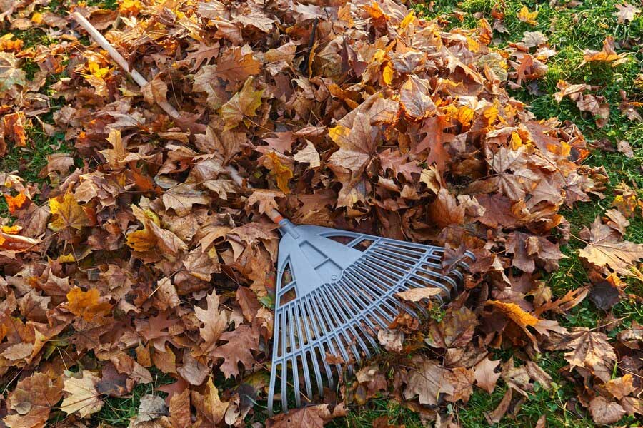 gutter cleaning services